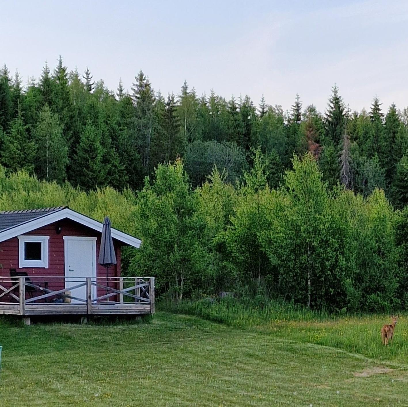 Cosy Private Cottage With Stunning View Сунне Экстерьер фото